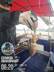 [사천] 오늘도 갑오징어 열심히 달립니다! 내일 정상 출조합니다
