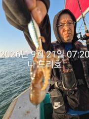 21일, 군산쭈꾸미, 많이 나오네요~실시간~싸이즈 굿~군산낚시프라자 나드리호