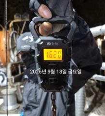 [진해] 팁런무늬!!!24일부터 예약가능