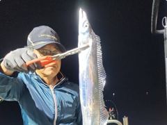 41분전 [진해] 팁런무늬!!!24일부터 예약가능