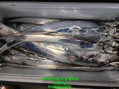 [여수 마린피싱] 9월20일 국민갈치!!!! 국민고등어!!! 한국인의 밥상 다 잡았습니다. 010-6683-4490