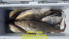 20260921 대구라바