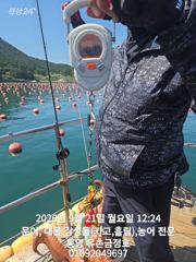 통영 금정호 문어선상 마릿수 싸이즈 모두 좋습니다 내일오전 자리여유 있습니다