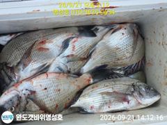 명성호 갯바위조황