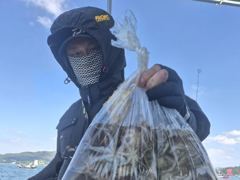 [사천] 삼천포 쭈꾸미 조황 !! 장원166수~~ 자리널널