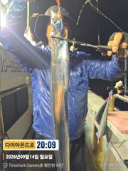 준내만갈치 수요일부터 출항! 마감임박! 전화주세요~