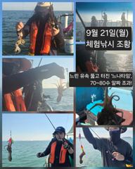 [피닉스피싱호] 9월 21일(월) 체험낚시 조황 - 느린 유속 뚫고 터진 `느나타임`, 70~80수 알짜 조과!