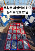 쭈갑조황 글만 보기