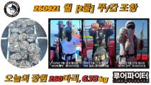 9/21 월 [2물] 쭈꾸미/갑오징어 조항 입니다.