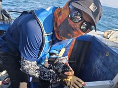 목감낚시[대천형배호] 21일철수 쭈 갑조황 잘 나왔습니다