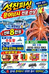 오늘 야간문어.출항. 확정