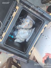 안면도 내포항 쭈꾸미낚시 종일배 9월21일 뉴스타피싱호