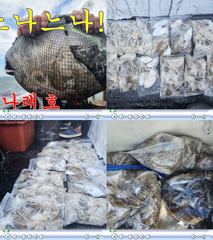 신나래호) 가을 쭈꾸미 오늘도 하루종일 잘나오내요