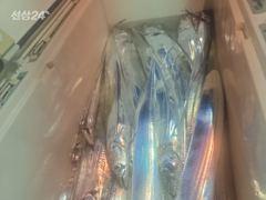 [통영] 수요일 황제낚시 출항확정! 사진