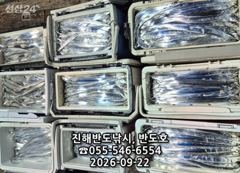 [진해] 22일,내만갈치,호조황연속,엄청나게 나옵니다.오늘출항확정(화,수… 사진