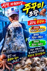 [사천] 주간:주꾸미 & 야간:돌문어 ~내일 출조확정~예약받습니다