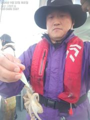 군산쭈꾸미 오늘도 잘 나오네요~실시간~군산낚시프라자 그랜드호