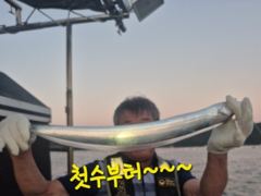 내만갈치 사이즈 마리수 굿굿!!! 낚낚GOGO~