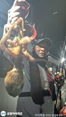 [포항] 돌문어 24일 오전 25일 야간 쭉 여유자리
