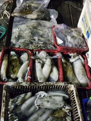 야간(무늬오징어) 팁런 바글바글 줄줄이 손맛~대동낚시(23일 예약)