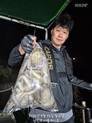 [사천] 삼천포 야간문어조황! 주간주꾸미, 주야간 문어 매일출조!