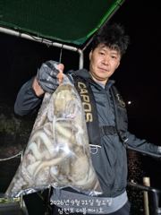 [먹물조황]삼천포문어조황!주간주꾸미,주,야간문어매일출조!