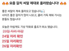 요즘 갈치 씨알 너무 좋습니다. 추석전 갈치 건지러 가봅시다.