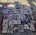 9월22일 오전.오후 시간배 한번에 올릴께용~^^ 오전배 장원(147수)오후배 장원(130수)평균적으로 ..