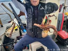 [진해] 문어 호조황 및 문어라면