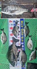 [바다마을호] 4짜외 감성돔 조황(9/21)