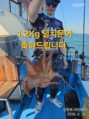 [사천] 삼천포 마린보이 9. 22. 화요일 주간문어 대박 조황으로 다녀…