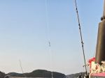 오스타호 26.09.22 쭈갑 조황^^