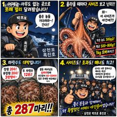 삼천포문어 야간조황｜평균 500~800g 사이즈 대박! 287마리｜삼천포박프로 흑진호