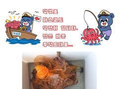 삼천포덕성호 돌문어, 주꾸미 출조 예약 받습니다.(2026년 9월 22일 조황사항)