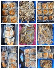 9월22일 비엔나호 쭈갑조황