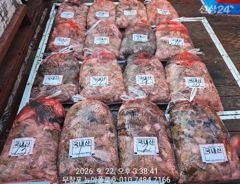 9월22일 무창포뉴아폴로호 대박 쭈꾸미망태기조황 사진