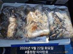 [쭈갑조황] [홍원항베니스호] 9월22일(화) 계속 잘나오는 쭈꾸미와 갑오징어 조황