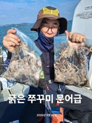 2026년9월22일 쭈.갑 조황 정보