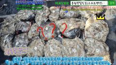 9월22일 홍원항힐링호 Very Good~ 쭈갑 망테기 조황~!장원8kg 2등7.5kg 3등 7kg 등등...오늘도 겁나게 올리시다 가셨네요 ㅋㅋ 수고들 많으셨습니다.