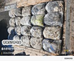 9월22일쭈&갑(굿~조항)