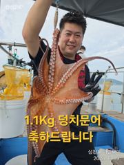 삼천포 마린보이 9. 22. 화요일 풍성한 주간문어 뜯으로 출항합니다.