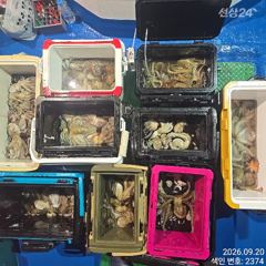 쓸어담듯 마리수 대~박치러 야간~돌문어 잡으러 출조 갑니다@ 목,금,토요일~몇 자리 예약가능