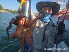 돌문어 실시간! 오늘 야문 출항확정! 4자리 가능!