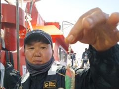 ▶▶ 9/22.(군산. 카니발호) 주꾸미~조항! 내일. 출항해요.