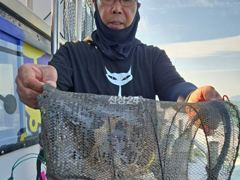 9월22일 군산킹마린호 쭈꾸미굿조황