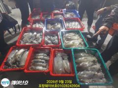 22일웨이브호무늬팁런120개