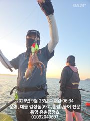 [통영] 통영 금정호 아침부터 문어들 반응 좋습니다 내일오후 자리있습니다