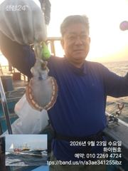 23일, 군산쭈꾸미,날마다 잘 나오고 있어요~실시간 조황~~군산낚시프라자 하이원호