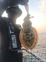 23일, 군산쭈꾸미,갑이랑 함께~날마다 잘 나오고 있어요~오전반…