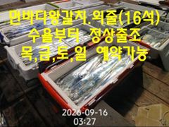 [진해] 16석.먼바다왕갈치(외줄) 추석당일 정상출조=목금토일 예약가능